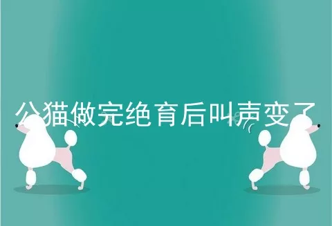 公猫做完绝育后叫声变了