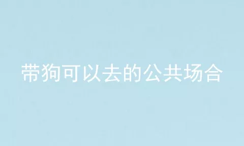 带狗可以去的公共场合