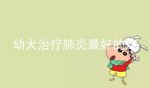 幼犬治疗肺炎最好的药