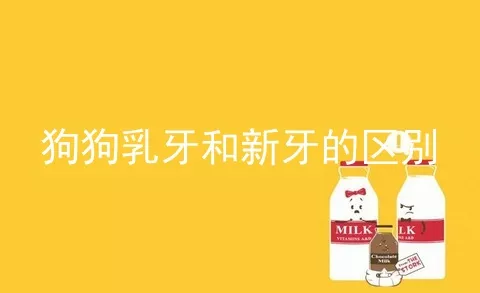 狗狗乳牙和新牙的区别