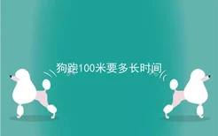 狗跑100米要多长时间