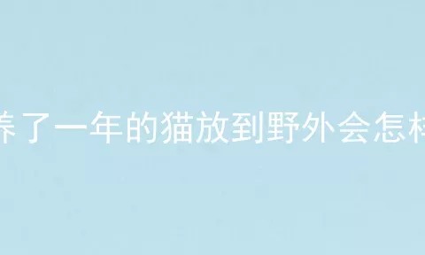 养了一年的猫放到野外会怎样