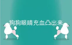 狗狗眼睛充血凸出来