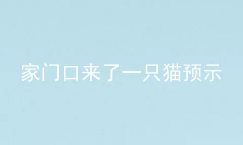 家门口来了一只猫预示