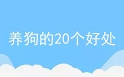 养狗的20个好处