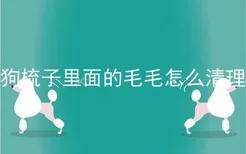 狗梳子里面的毛毛怎么清理