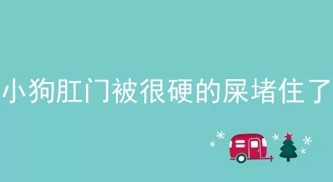 小狗肛门被很硬的屎堵住了