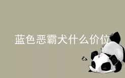 蓝色恶霸犬什么价位