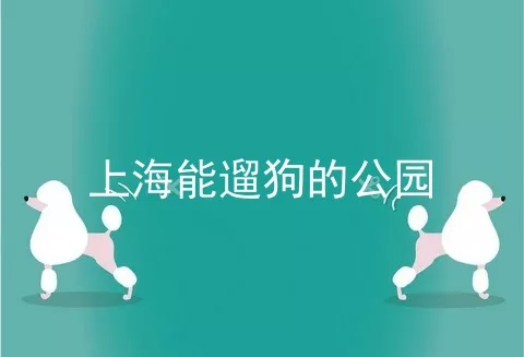 上海能遛狗的公园