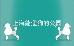 上海能遛狗的公园