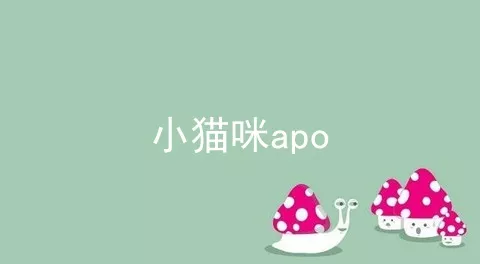 小猫咪apo