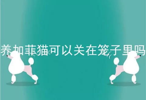 养加菲猫可以关在笼子里吗