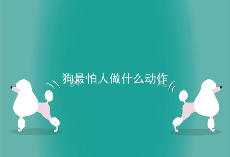 狗最怕人做什么动作