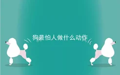 狗最怕人做什么动作