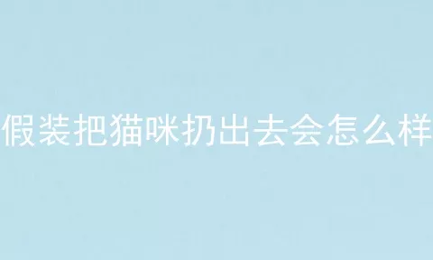 假装把猫咪扔出去会怎么样