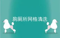 狗厕所网格清洗