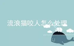 流浪猫咬人怎么处理