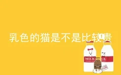 乳色的猫是不是比较贵