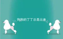 狗狗的丁丁总是出来