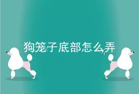 狗笼子底部怎么弄