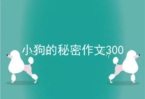 小狗的秘密作文300