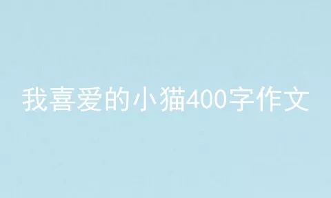 我喜爱的小猫400字作文