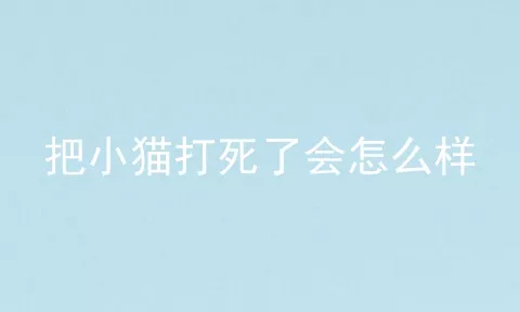 把小猫打死了会怎么样