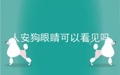 人安狗眼睛可以看见吗