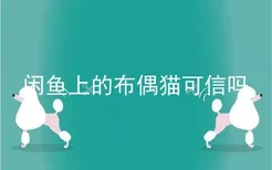 闲鱼上的布偶猫可信吗