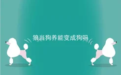 狼当狗养能变成狗吗