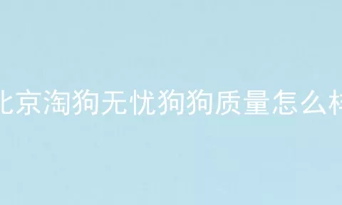 北京淘狗无忧狗狗质量怎么样