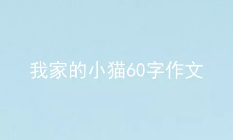 我家的小猫60字作文