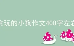 贪玩的小狗作文400字左右