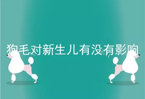 狗毛对新生儿有没有影响