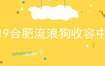 2019合肥流浪狗收容中心