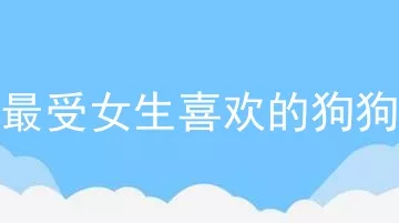 最受女生喜欢的狗狗