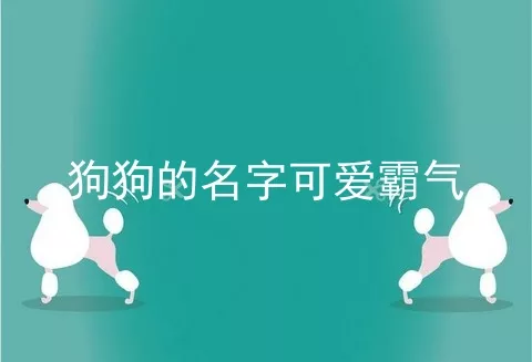 狗狗的名字可爱霸气