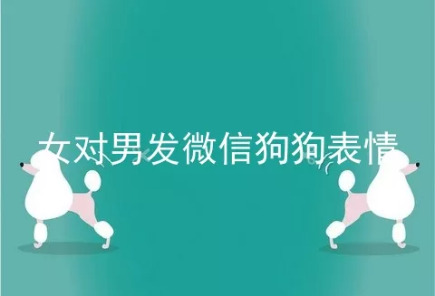 女对男发微信狗狗表情