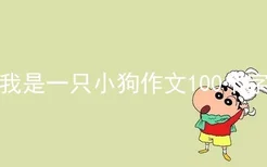 我是一只小狗作文100个字