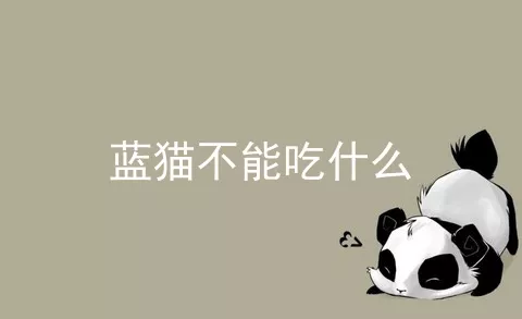 蓝猫不能吃什么