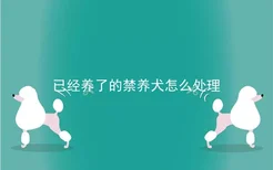 已经养了的禁养犬怎么处理