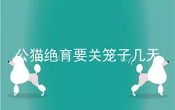 公猫绝育要关笼子几天