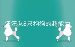 汪汪队8只狗狗的超能力