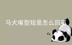 马犬嘴型短是怎么回事