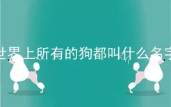 世界上所有的狗都叫什么名字