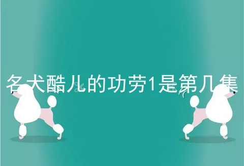 名犬酷儿的功劳1是第几集