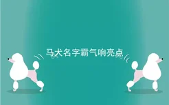 马犬名字霸气响亮点