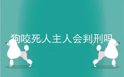 狗咬死人主人会判刑吗