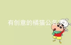 有创意的橘猫公名字