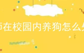 教师在校园内养狗怎么处理